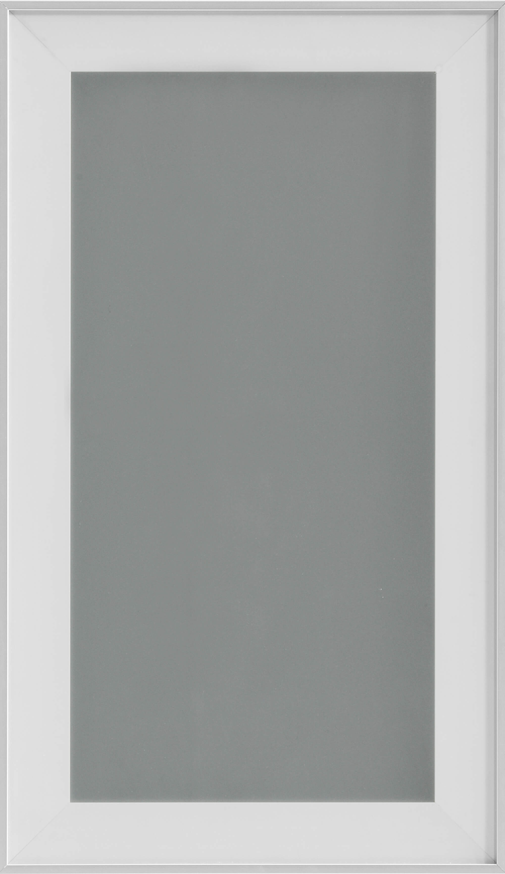 Aluminum Framed Door #2